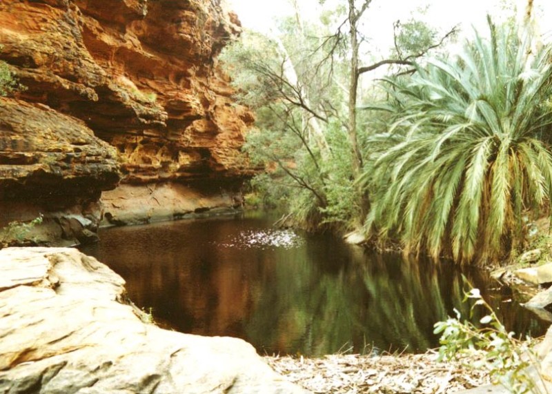 The Garden of Eden