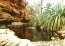 The Garden of Eden