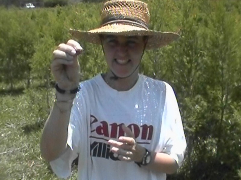 Bug Killer, next is Birthday Fun