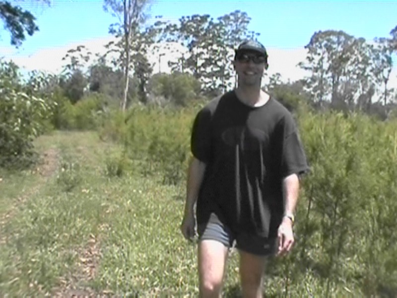 Farmer Rob, next is Bug Explanation
