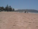 Palm Beach (68K)