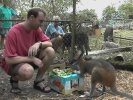 Rob 'n' Rooey (107K)