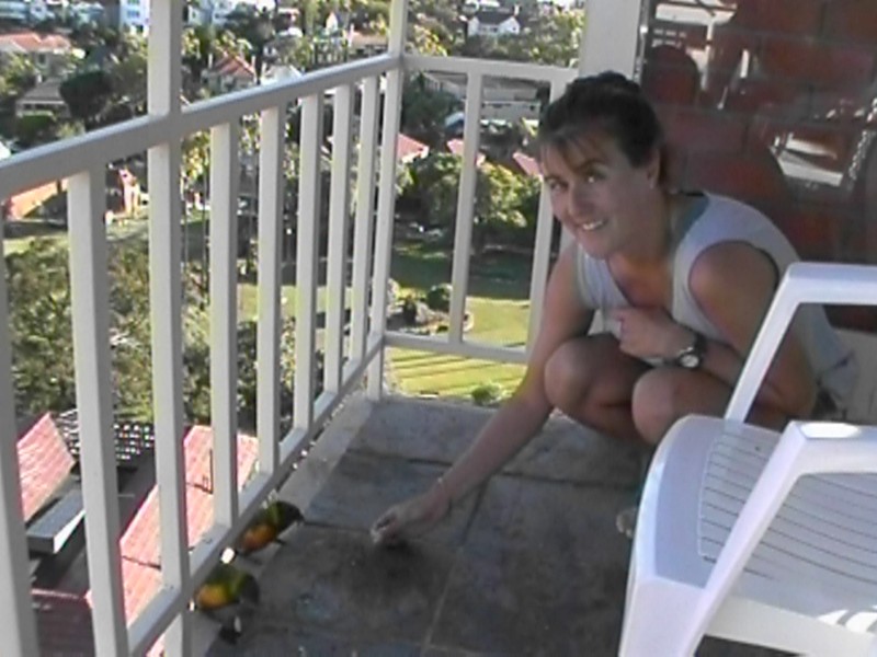 Kim and Birds, next is Bridge Birds