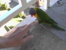 Bird (75K)