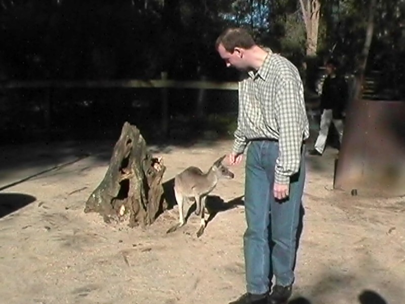 Heel Roo, next is Cheaky Cockatoo