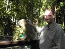 Rob 'n' Koala (111K)