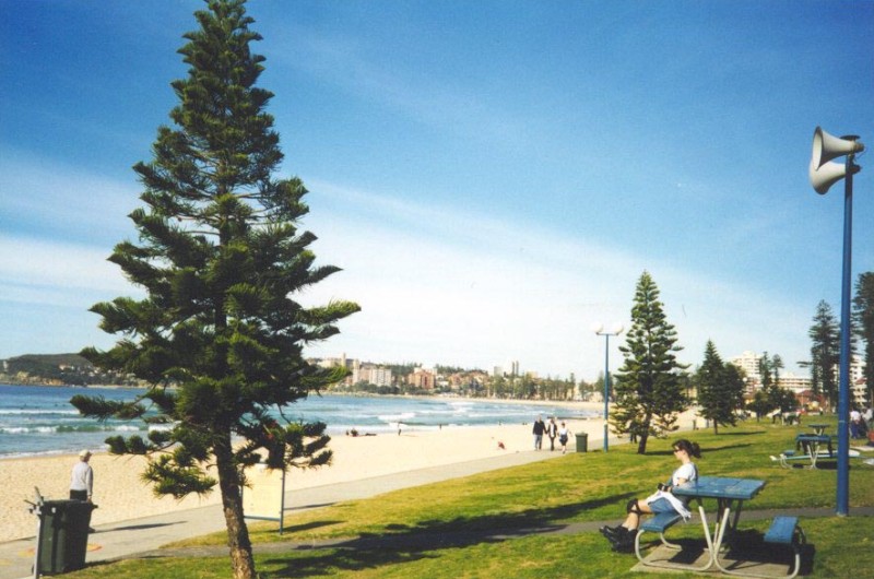 Kim at Manly, next is Kim and Cake at Manly