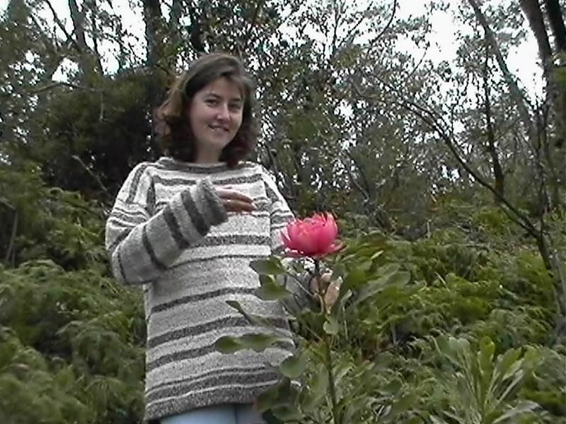 Kim & Waratah, next is Crimson Rosella