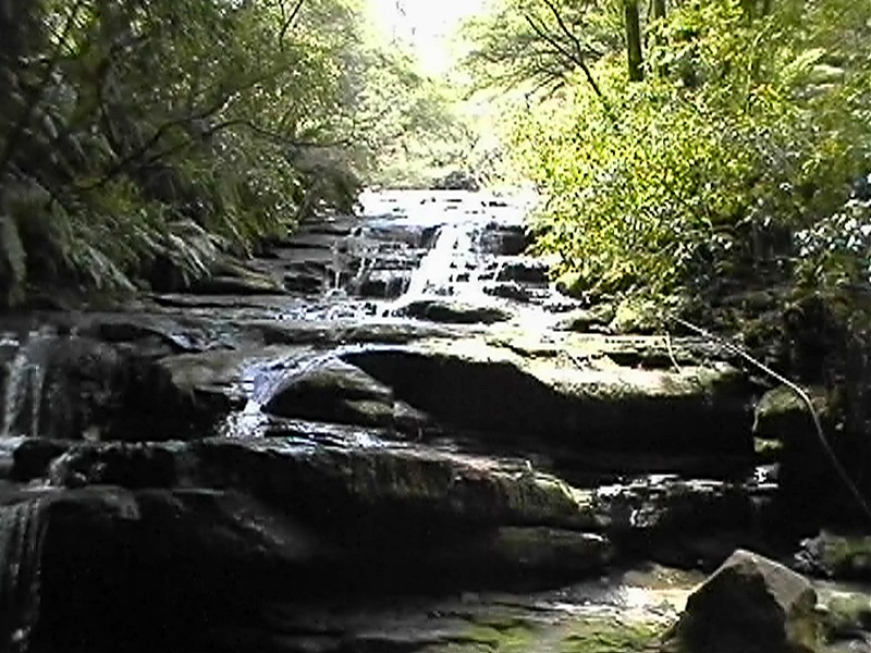 Leura Cascades, next is Leura Cascades