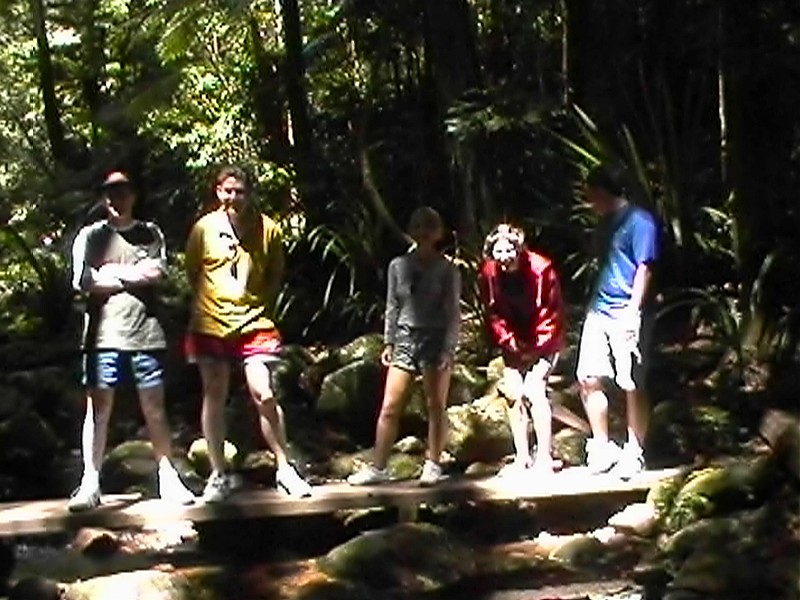 Nightcap Group, next is Nightcap National Park