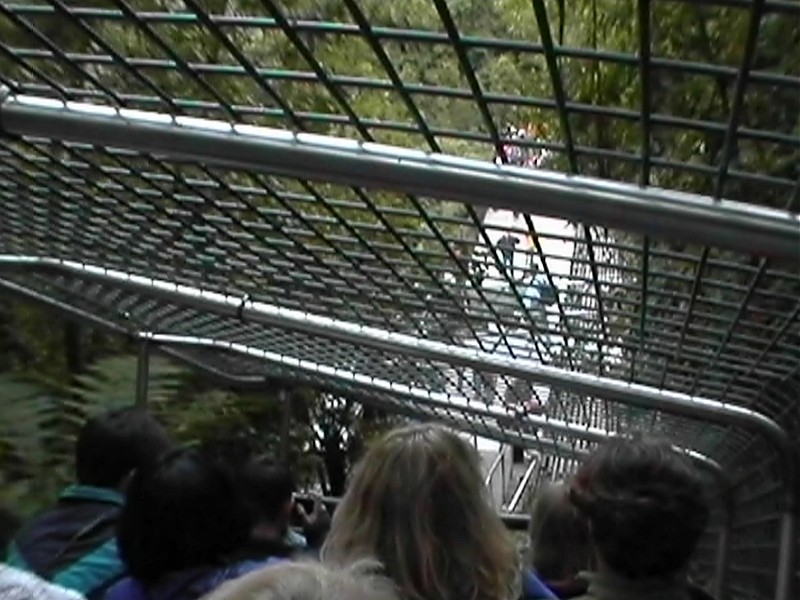 On the Scenic Railway, next is King Parrots