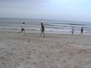 Beach Cricket (73K)