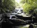Leura Cascades (140K)