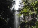 Protester's Falls (113K)