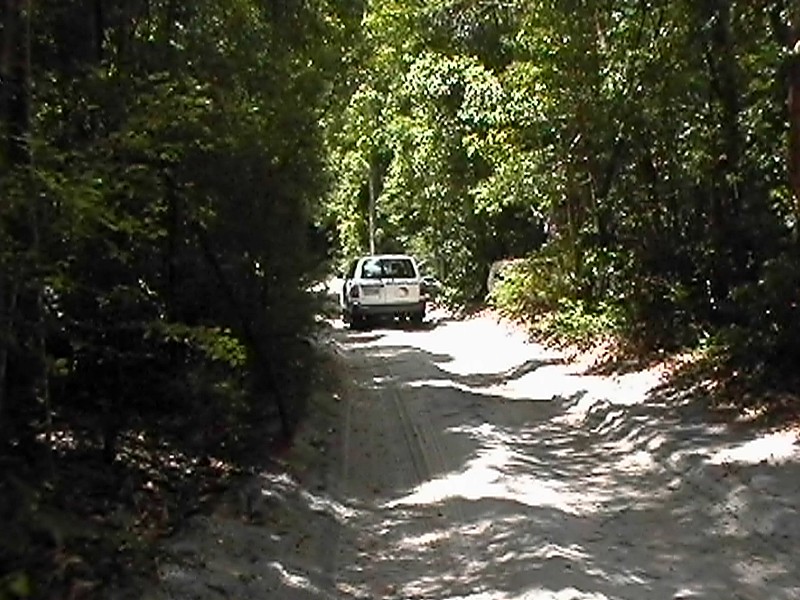 Fraser Island Track, next is Rainforest on Fraser Island