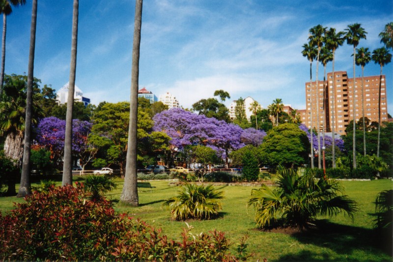 Milsons Park, next is George Square, Brisbane