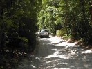 Fraser Island Track (133K)