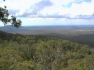 View from Blackdown Tableland (94K)