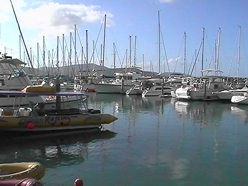 Shute Harbour, next is Scotty's Beachhouse