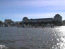 Cairns Marina (106K)