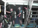 Diving Rob (91K)