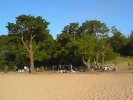Shelly Beach BBQ Area (102K)