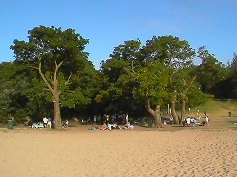 Shelly Beach BBQ Area, next is Shelly Beach