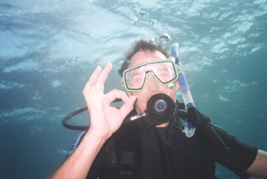 Underwater Rob, next is Reef Turtle