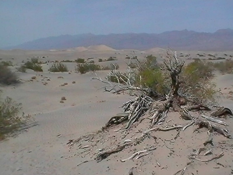Death Valley Dunes, next is Death Valley Dunes