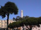 Coit Tower (85K)