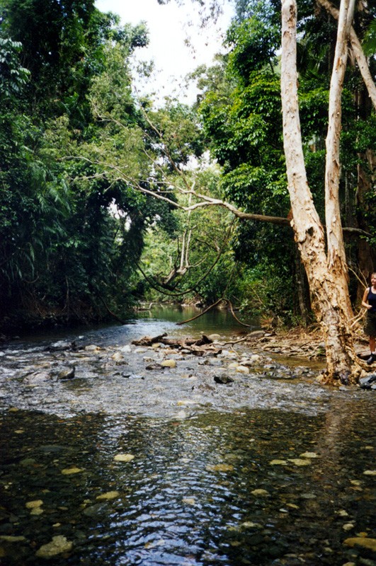 Daintree Forest Creek, next is Bushcamper River Crossing