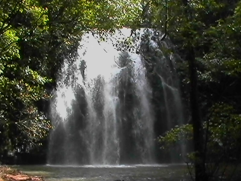 Ellinjaa Falls, next is Mungalli Falls Terrapin