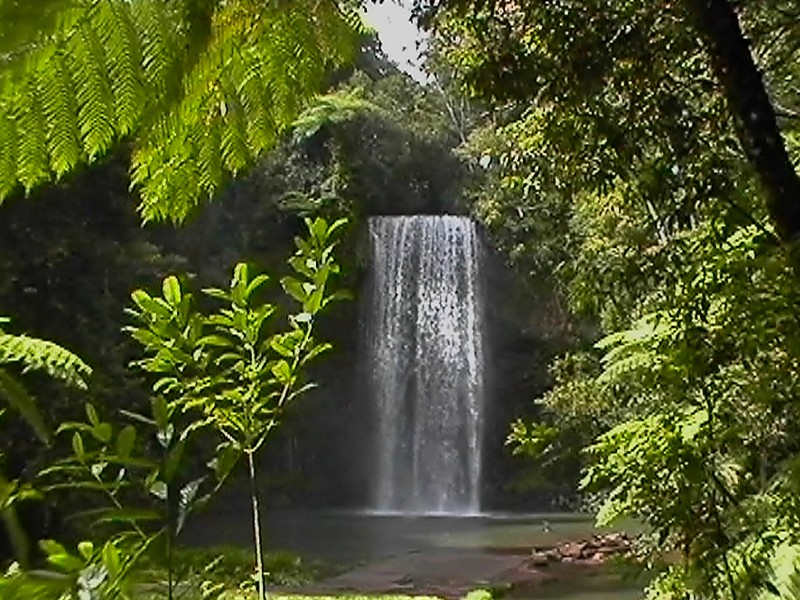 Millaa Millaa Falls, next is Zillie Falls