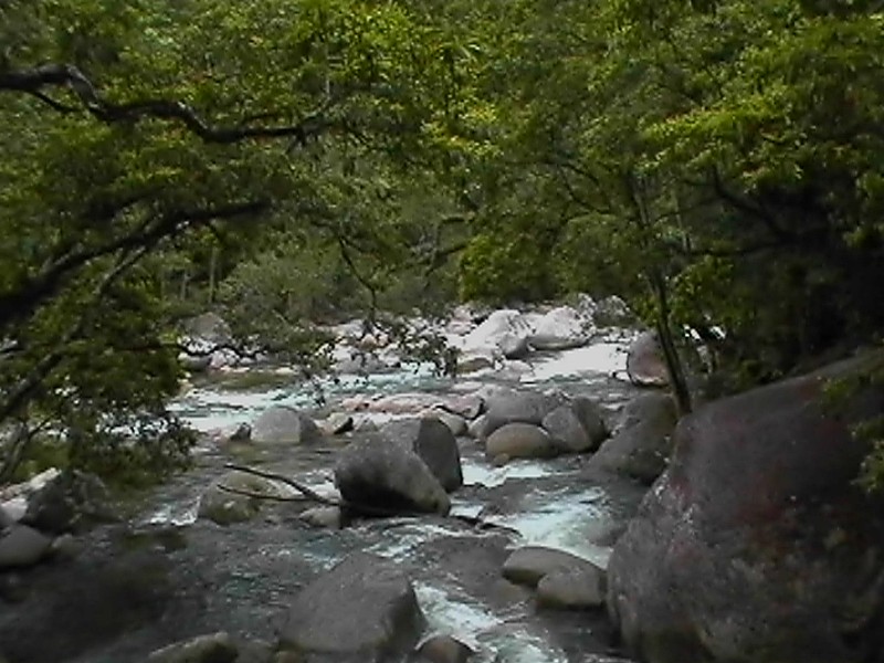Mossman Gorge, next is Mossman Gorge Bridge