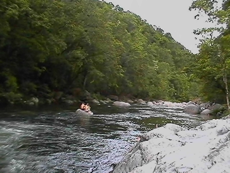 Mossman Swimming Hole, next is Mossman Gorge Forest