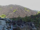 Black Mountain (116K)