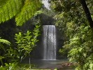 Millaa Millaa Falls (156K)