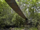 Mossman Gorge Bridge (165K)