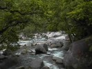 Mossman Gorge (114K)