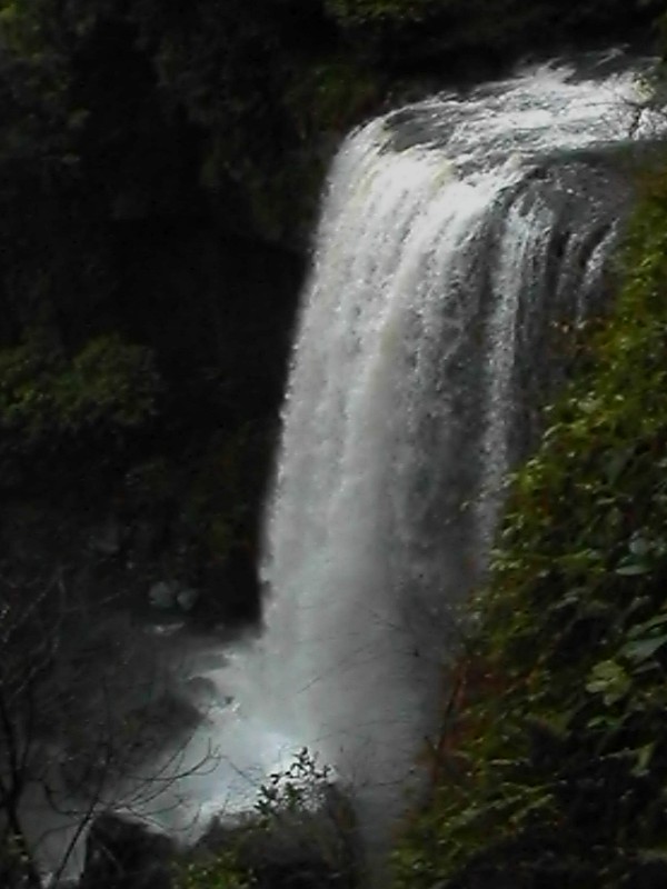 Zillie Falls, next is Ellinjaa Falls