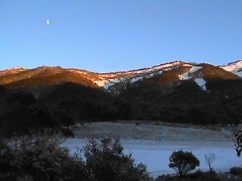 Thredbo Sunrise, next is Snow Rosellas