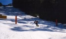 Slalom Rob (69K)