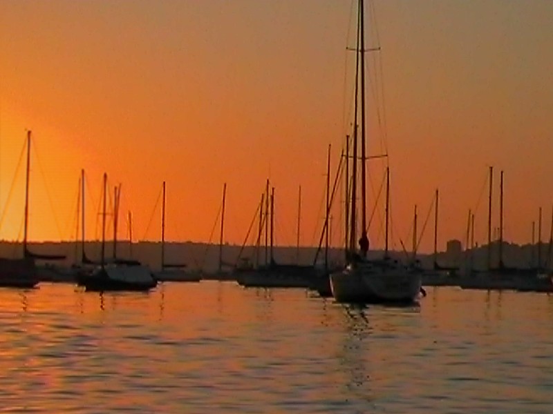 Careening Cove Sunrise, next is Milsons Park Sunrise