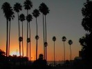 Milsons Park Sunrise (66K)