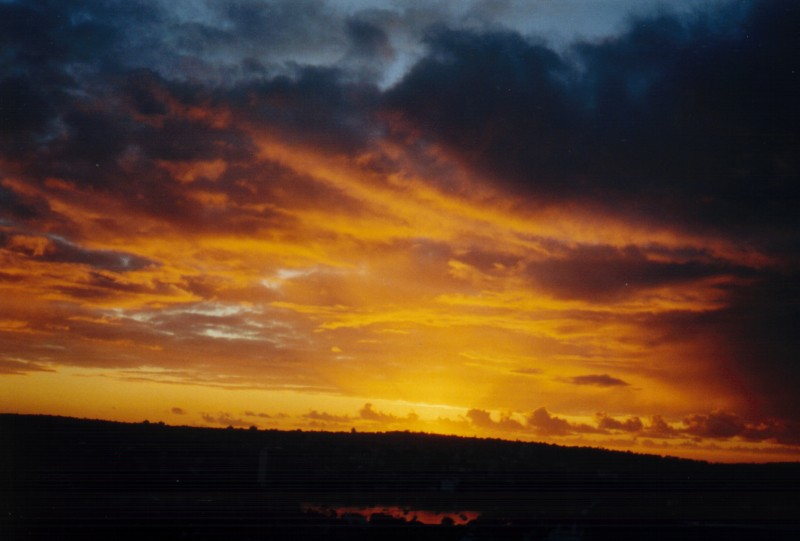 Port Jackson Sunrise, next is Corroboree Walk