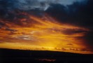 Port Jackson Sunrise (59K)