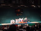Fencing Medal Cermony (86K)
