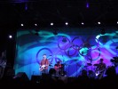 Neil Finn (86K)