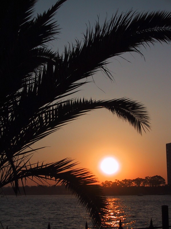 Palm Sunset, next is Sydney Boat Sunset