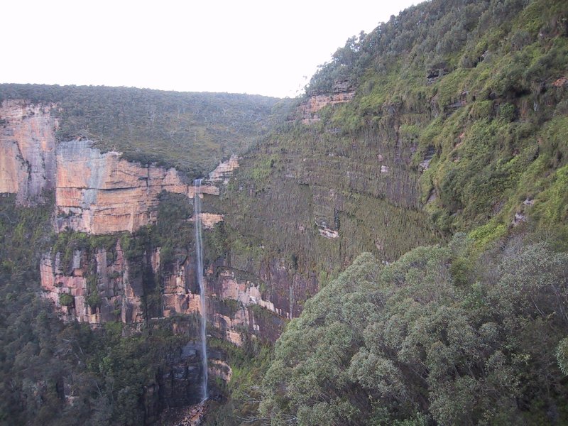 Blackheath Falls, next is Blue Mountains Gums